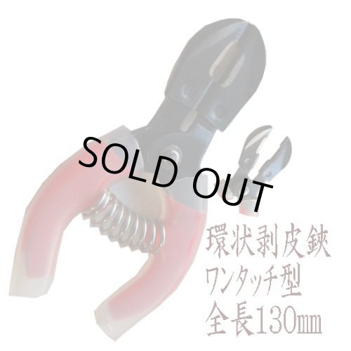 Mi-Mi キウイつる 140サイズ 187-00103sq2023-3.jpg?t=