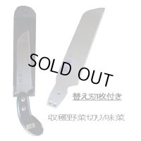 収穫野菜切包丁【味菜】AS-1替え刃付きセット