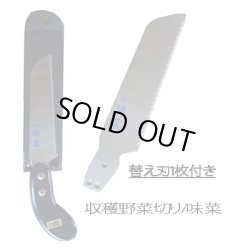 画像1: 収穫野菜切包丁【味菜】AS-1替え刃付きセット